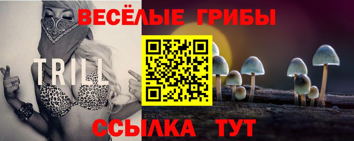 Кинель  Галлюциногенные грибы ЛСД  Вход с VPN 