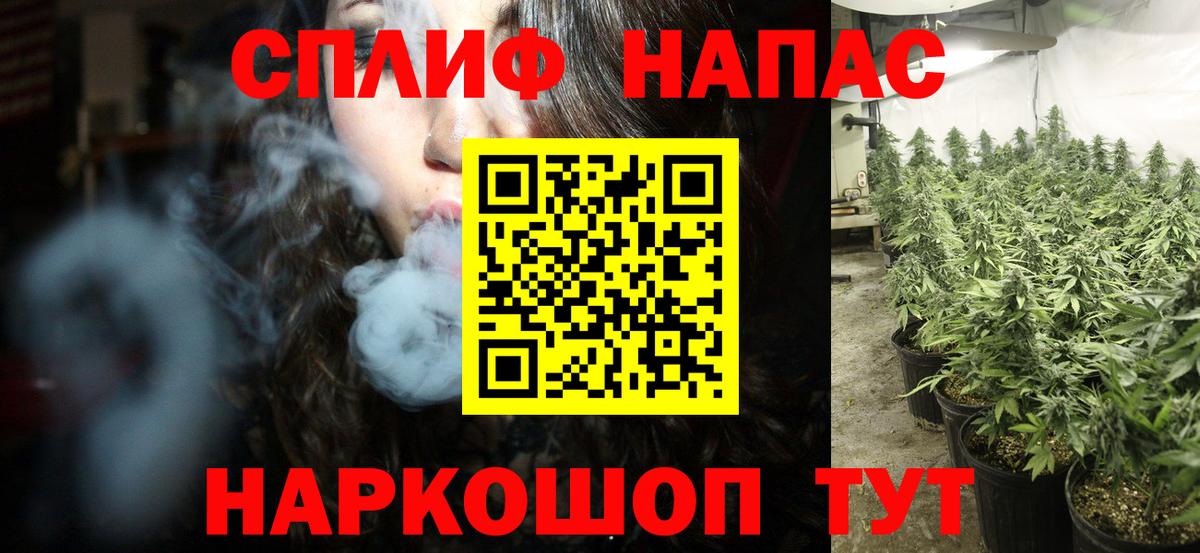 Конопля тримм  Бошки Шишки ГИДРОПОН  Кинель  Бошки марихуана THC 21%  Вход с VPN 